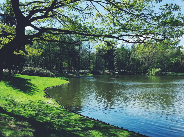 A beautiful scene in Łazienki Park, Warsaw