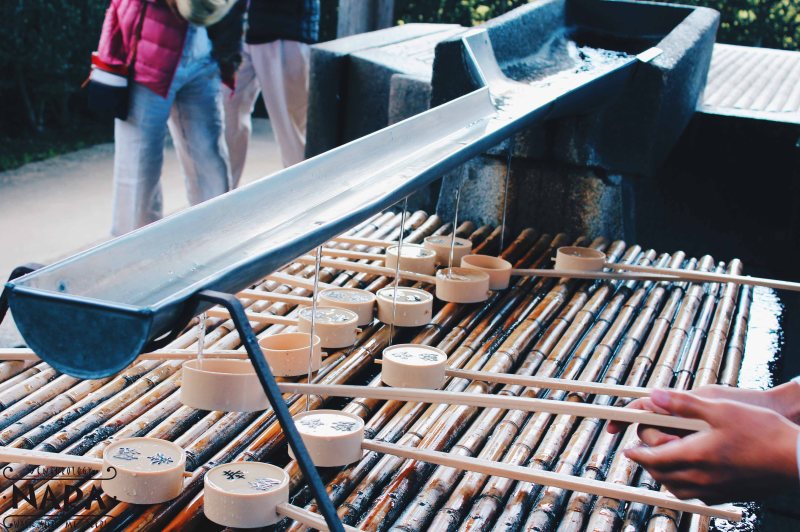 Fresh underground water, for blessing.