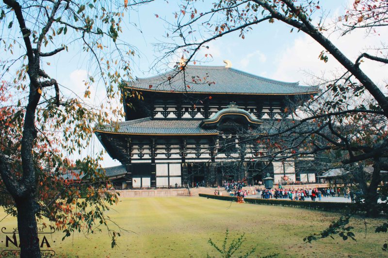 Todai-ji Temple on a clear day.