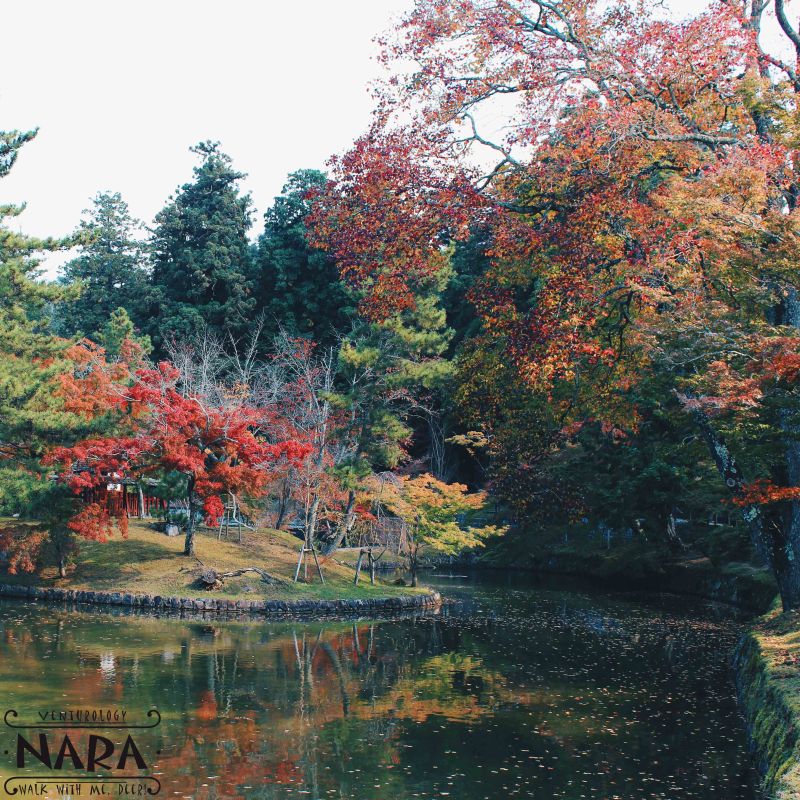 Autumn is so boring. It's so colorful. 