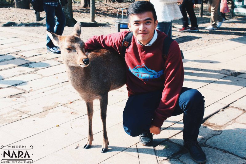 Oh deer, you're so photogenic!