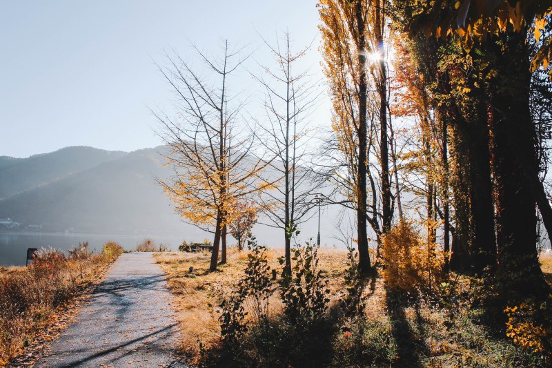 Một góc hồ Ashi