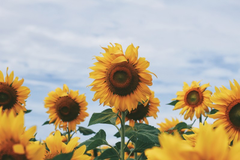 Processed with VSCOcam with a7 preset