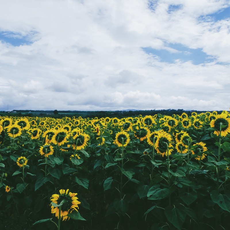 Processed with VSCOcam with a7 preset