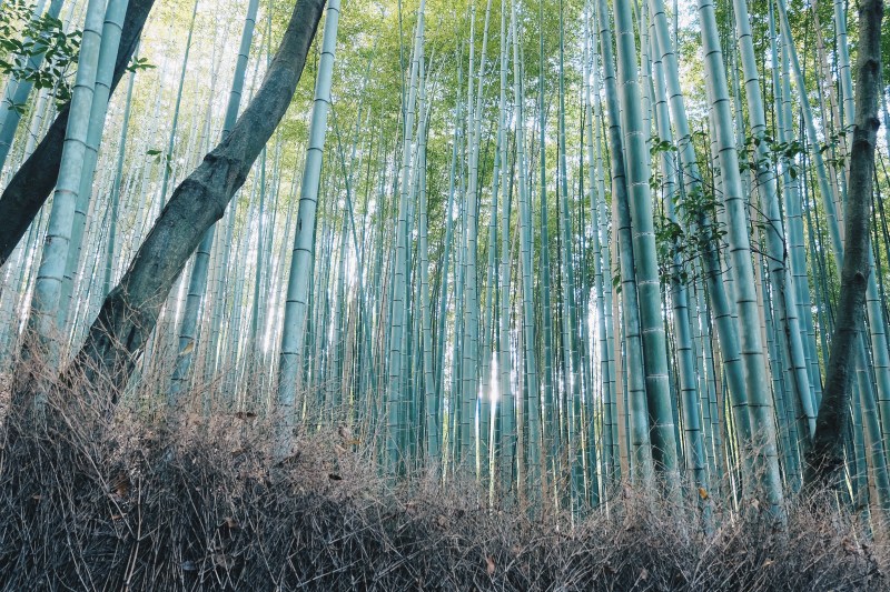 Processed with VSCO with hb2 preset