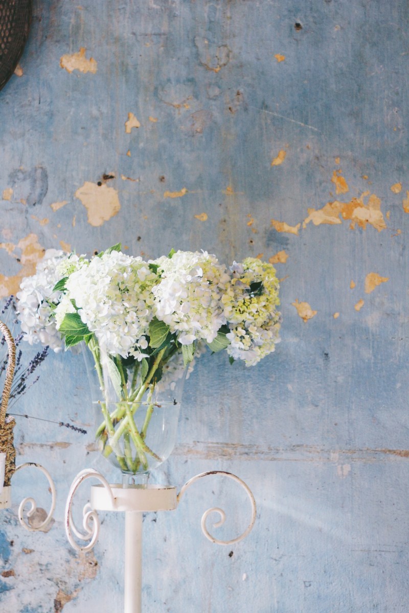 Processed with VSCO with a7 preset