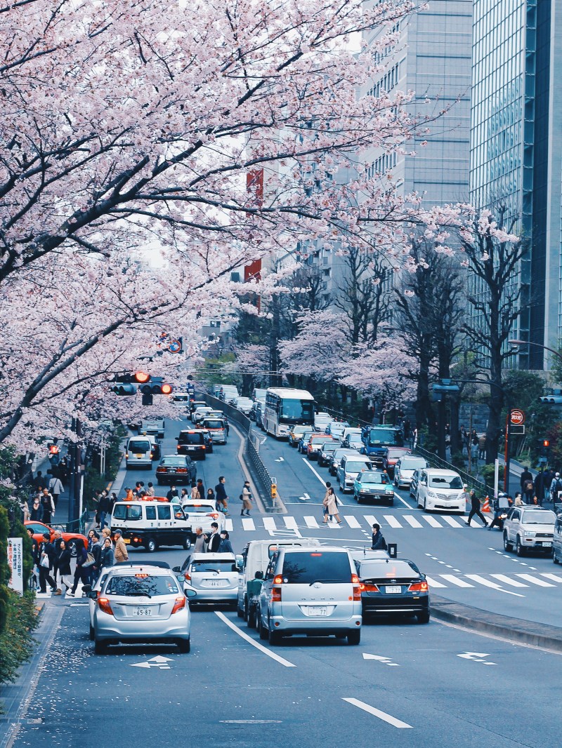 Processed with VSCO with hb2 preset