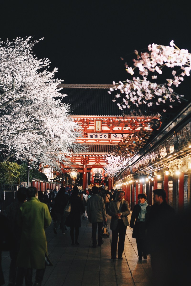 Processed with VSCO with hb2 preset