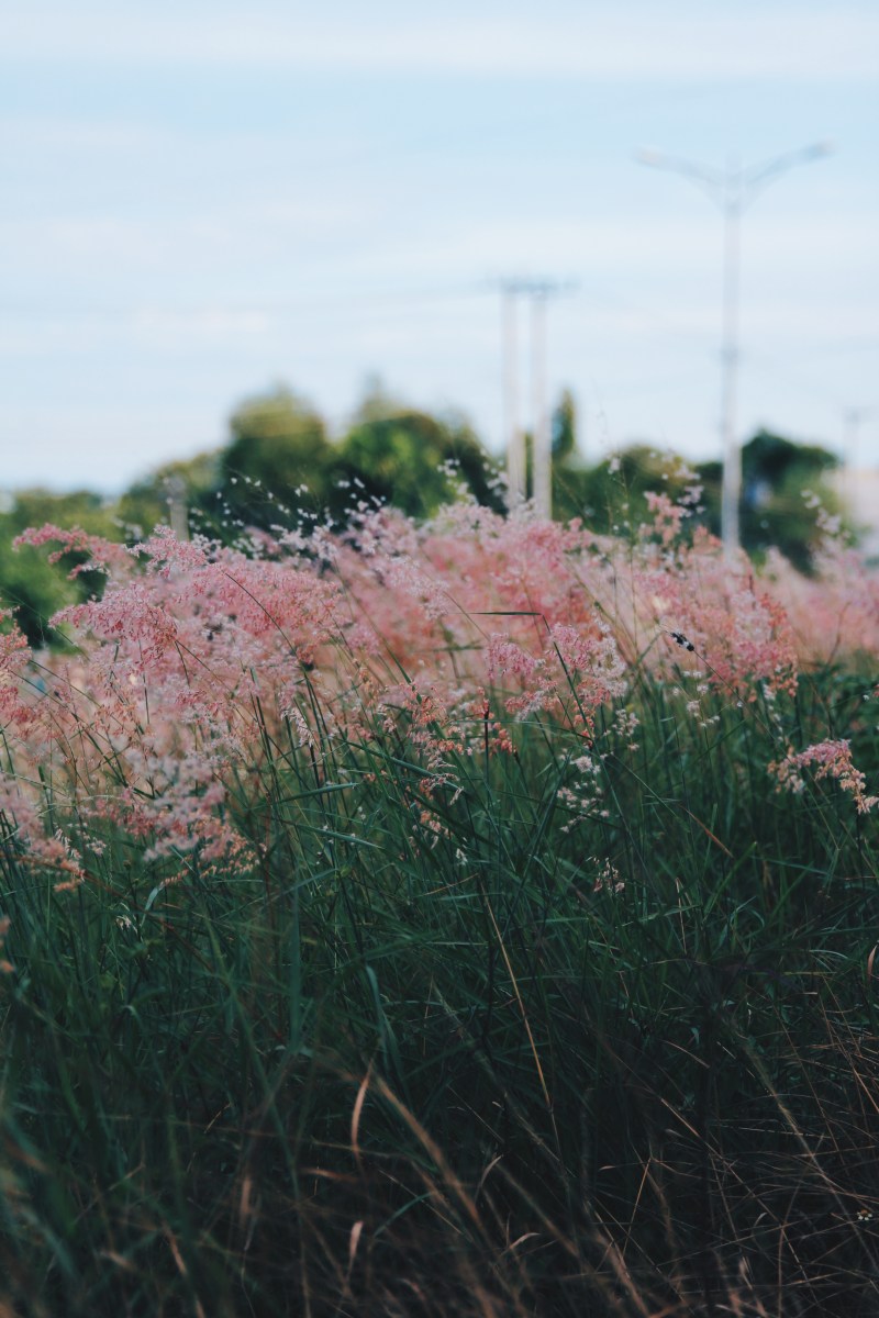 Processed with VSCO with hb2 preset