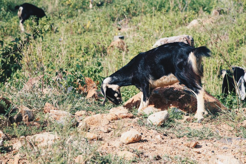 Processed with VSCO with hb2 preset