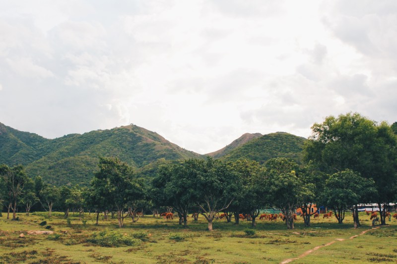 Processed with VSCO with hb2 preset