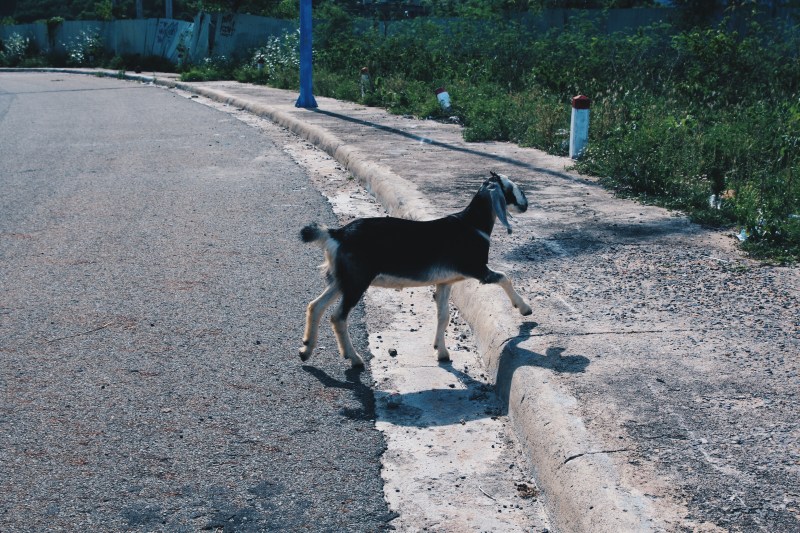 Processed with VSCO with hb2 preset