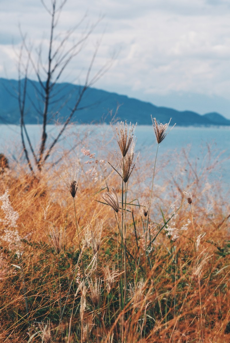 Processed with VSCO with hb2 preset