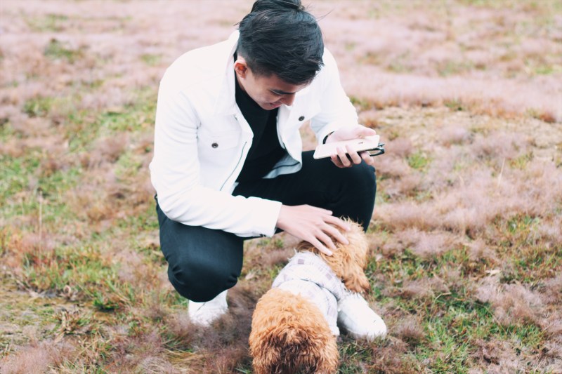 Cánh đồng tuyết Đà Lạt