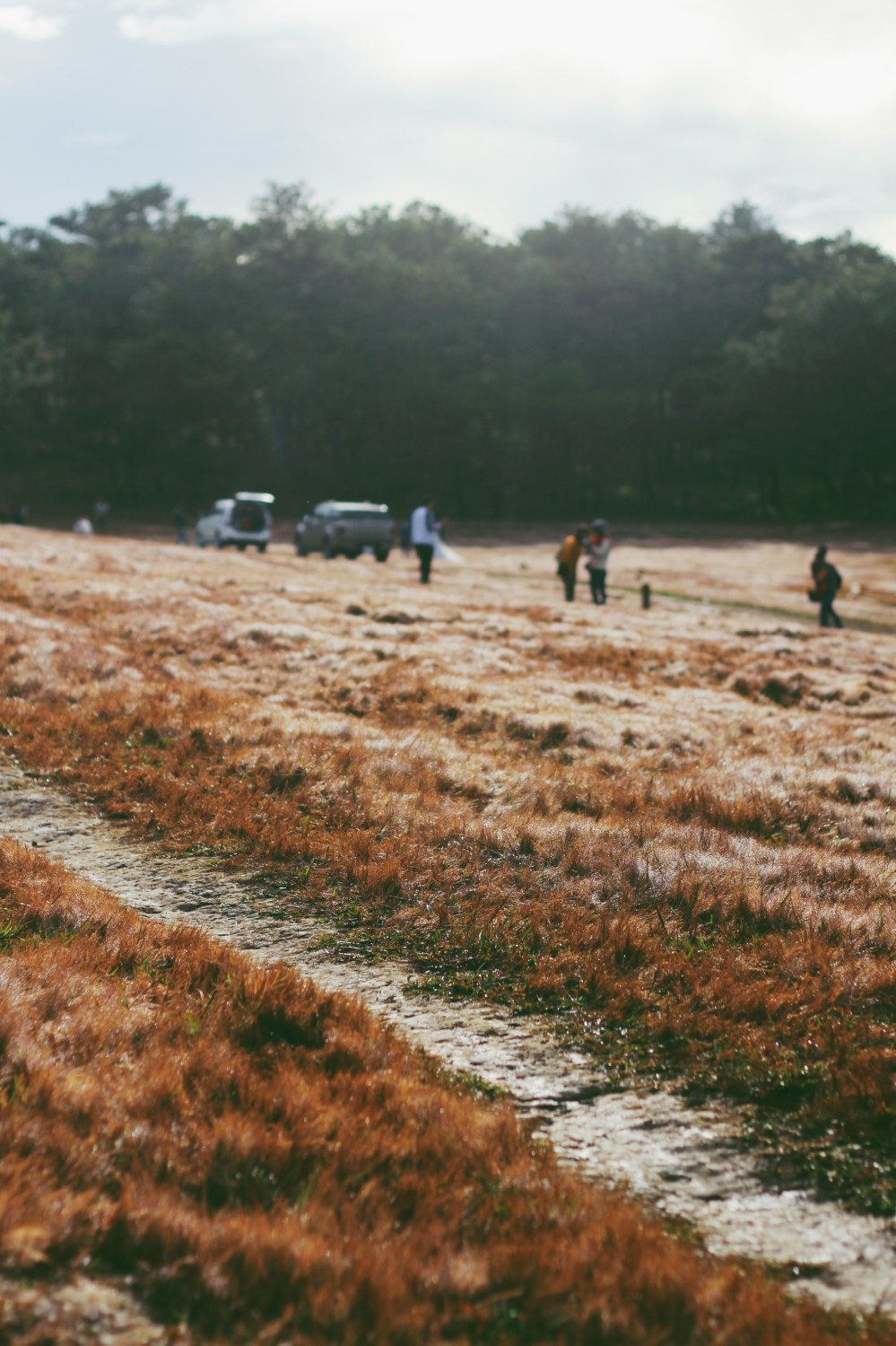 Processed with VSCO with 8 preset