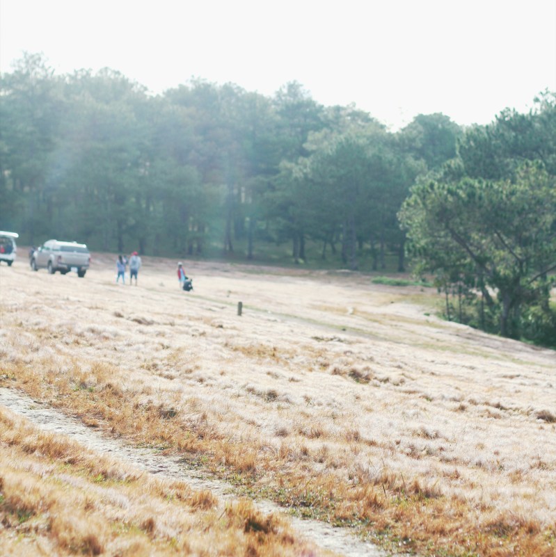 Processed with VSCO with 8 preset