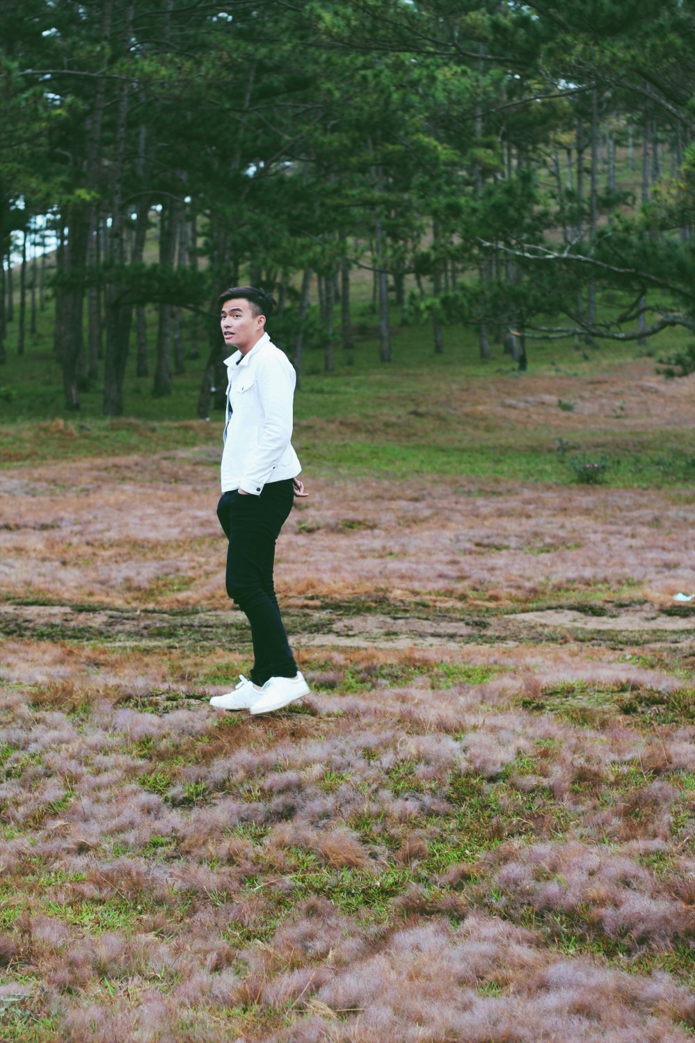 Cánh đồng tuyết Đà Lạt