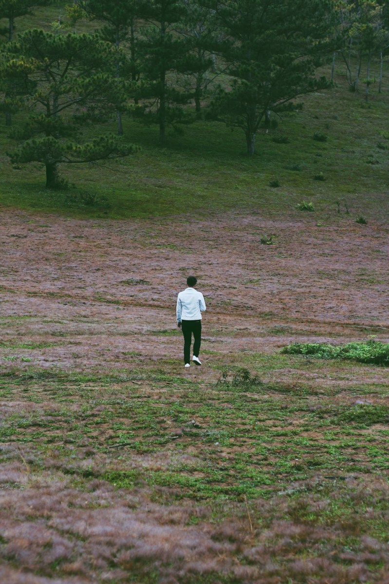 Cánh đồng tuyết Đà Lạt