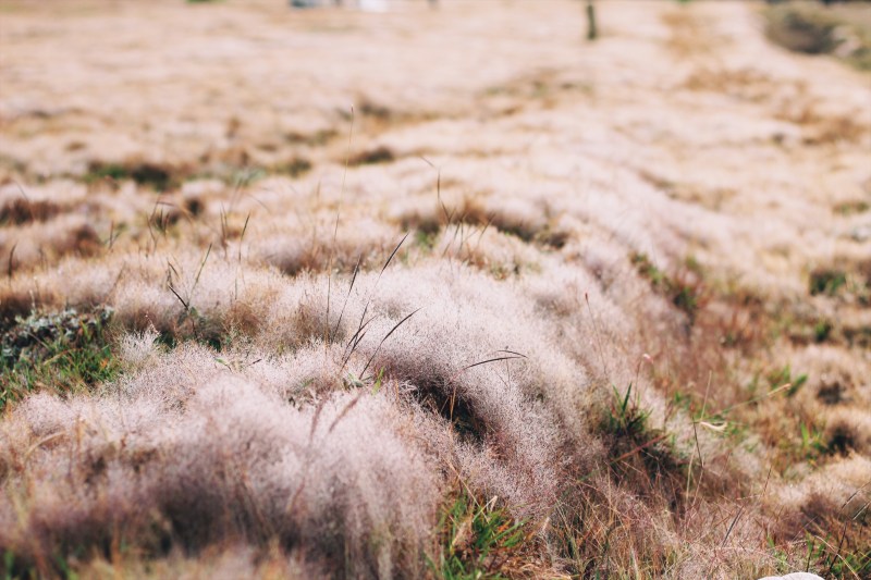 Processed with VSCO with a1 preset