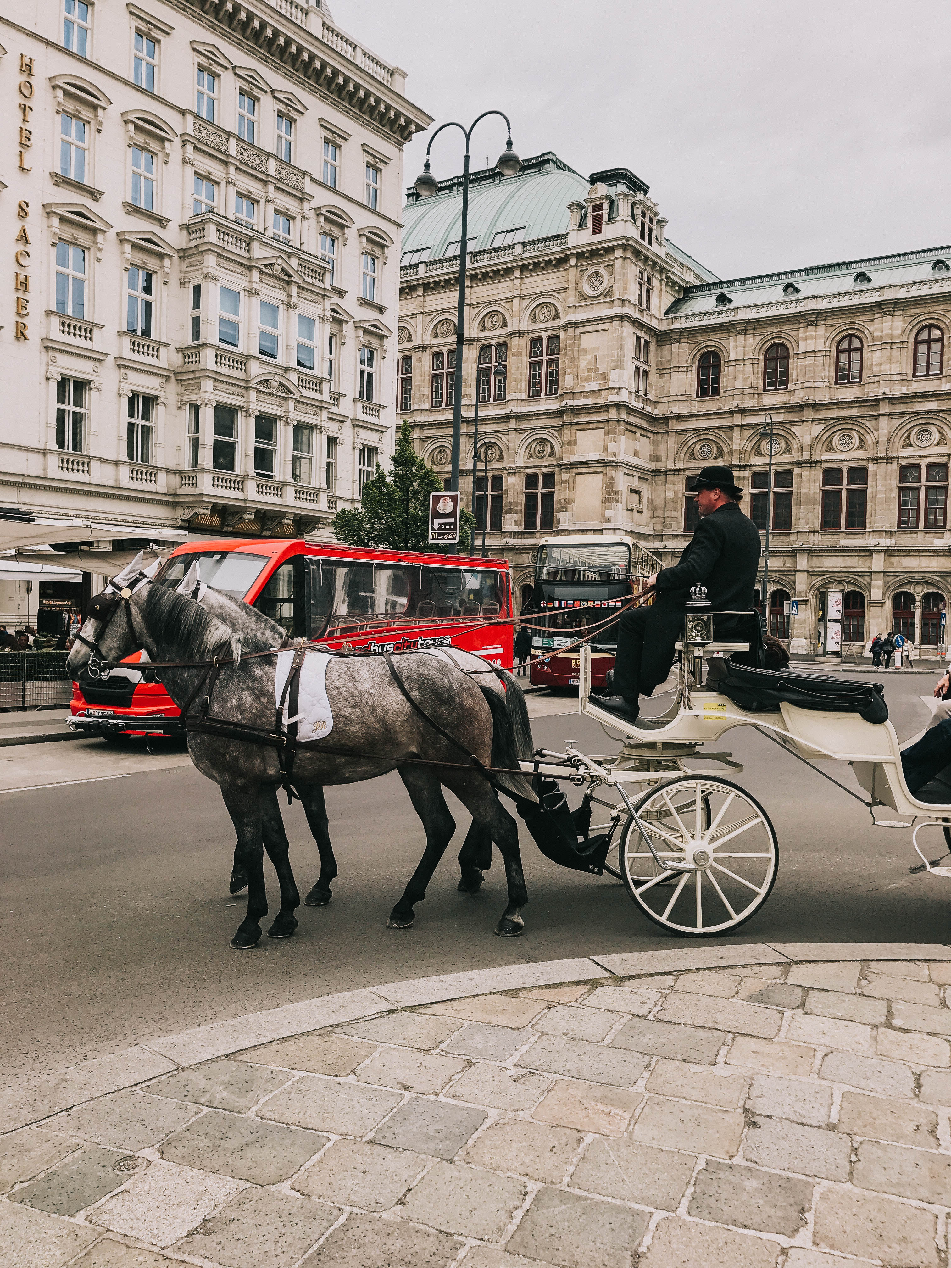 Vienna Horse Carrier