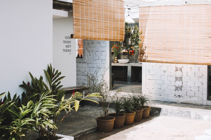 Garden Khu vườn Poshtel Dalat Homestay Đà Lạt