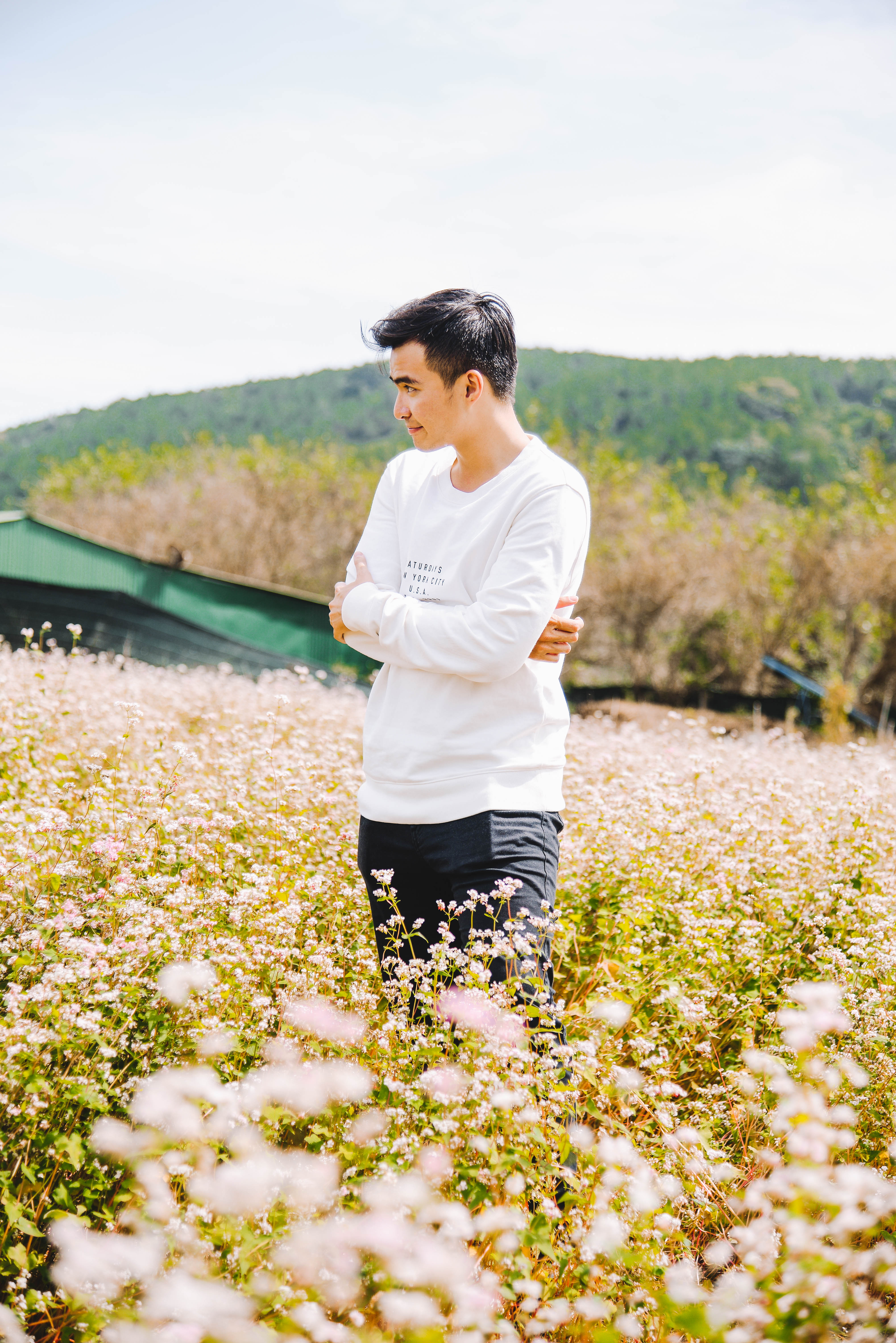 Lý Thành Cơ Venturology Đồng hoa tam giác mạch Buckwheat flower field Đà Lạt