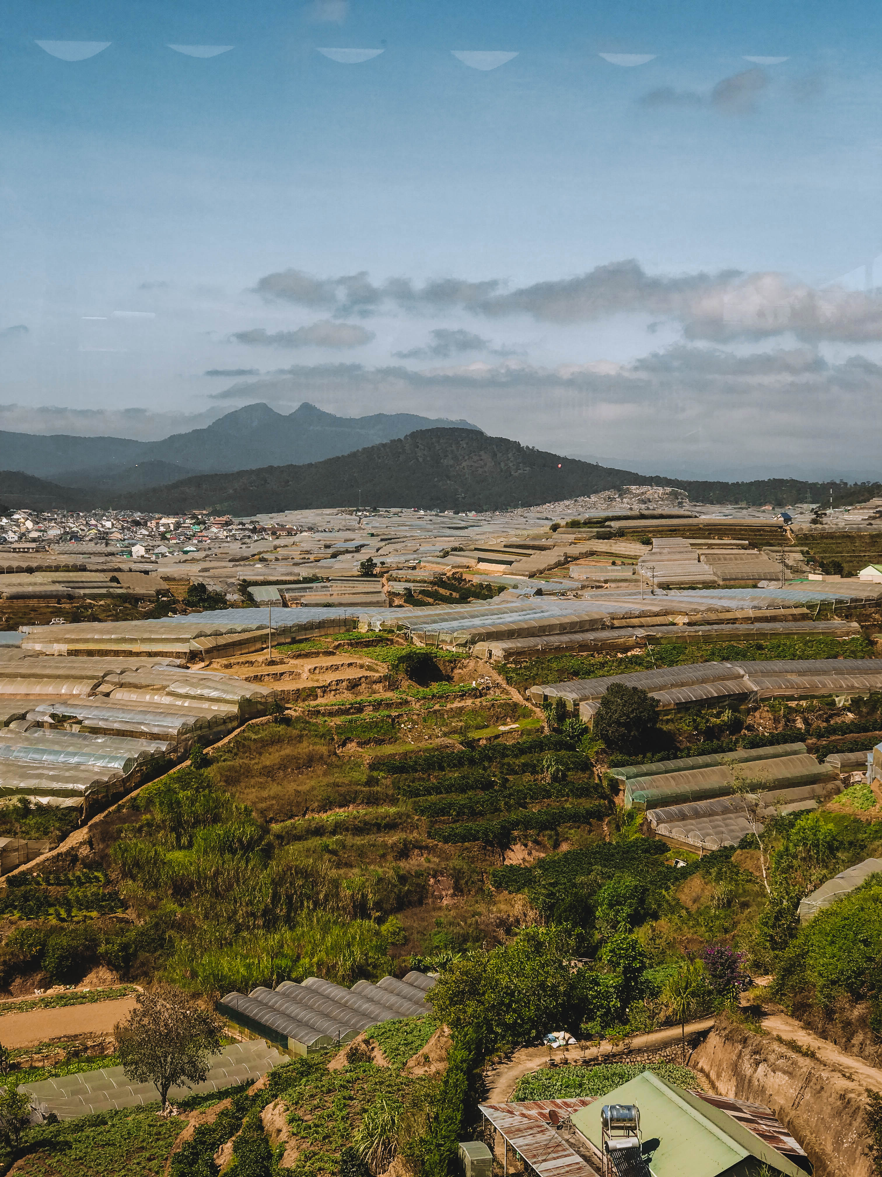 Trên đường tới Zoodoo