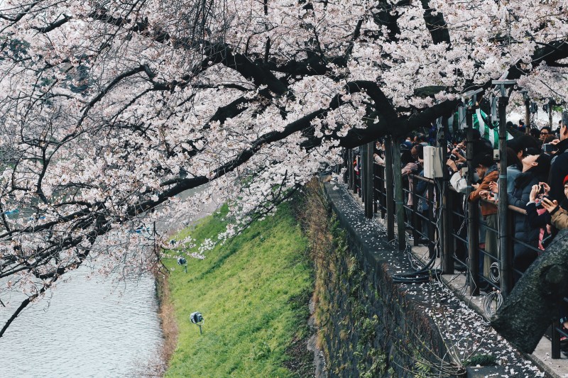 Processed with VSCO with hb2 preset