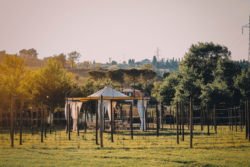 Tuscany Sunset vineyard