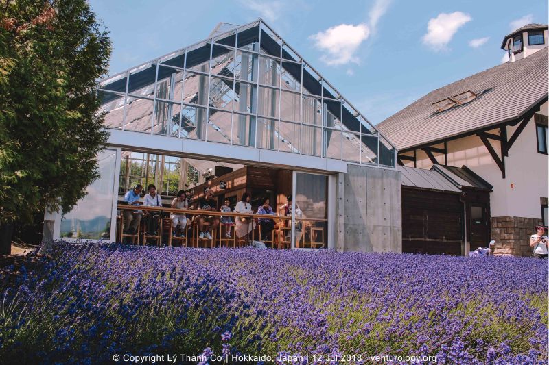 Lavender Farm Hokkaido Venturology 10