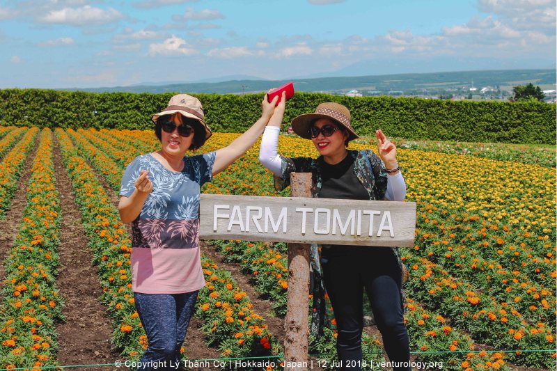Lavender Farm Hokkaido Venturology Farm Tomita
