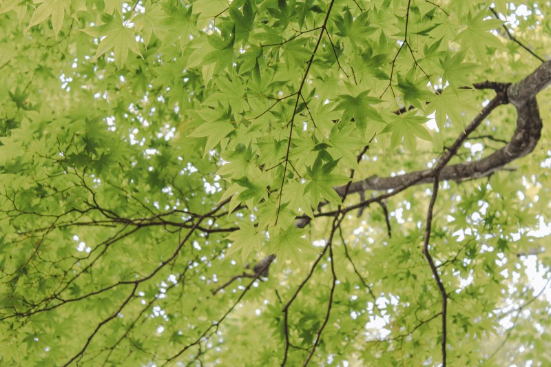 Vườn Quốc Gia Shikotsu-Toya Hokkaido Nhật Bản Venturology 4