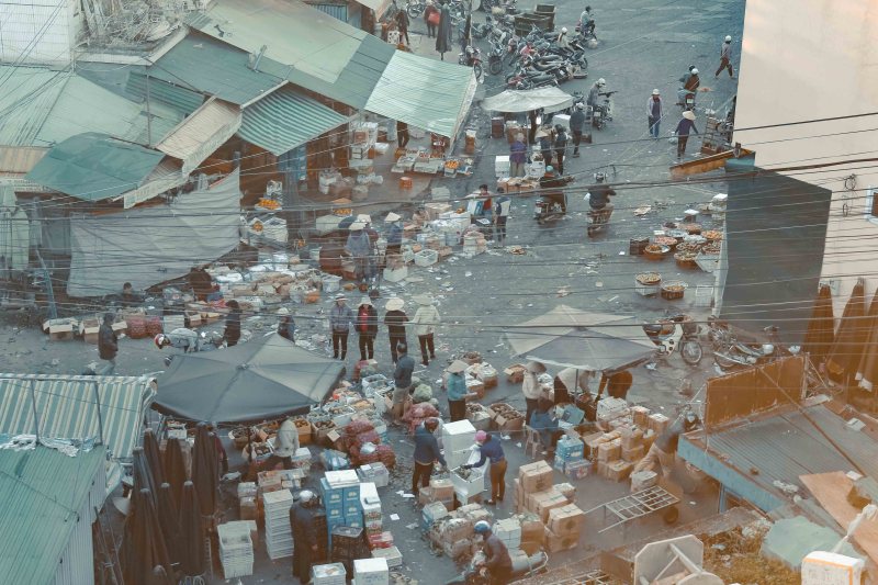 Đà Lạt Vào Mùa Đẹp Nhất Nữa Rồi, Mình Cùng Bên Nhau Chứ 7