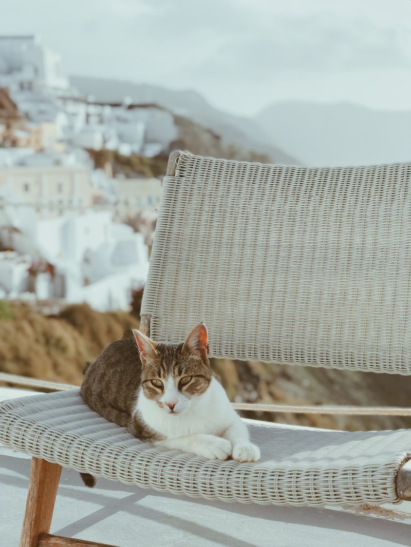 Processed with VSCO with a4 preset