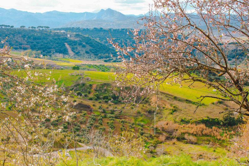 ronda-cheo-leo-vach-nui-vien-ngoc-cua-mien-nam-tay-ban-nha-6