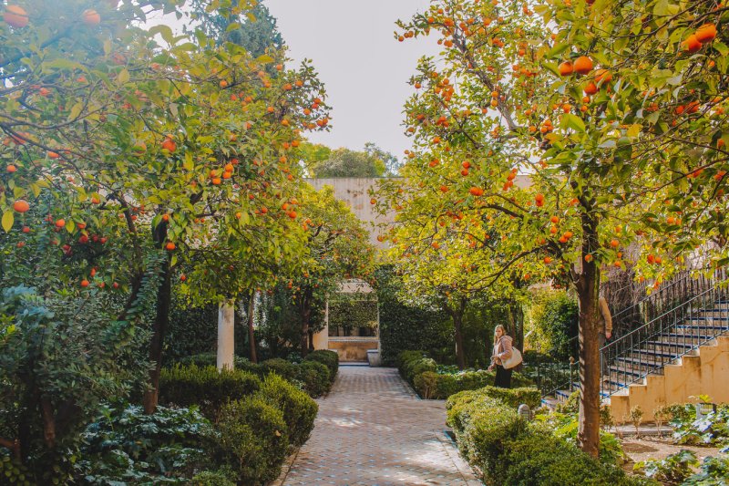 Đến Seville Để Sống Chậm 8