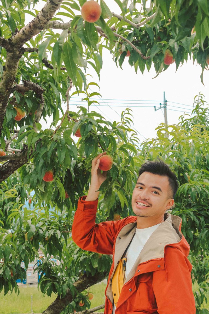 Lịch Trình Nhật Bản Lý Thành Cơ Travel Blog 2