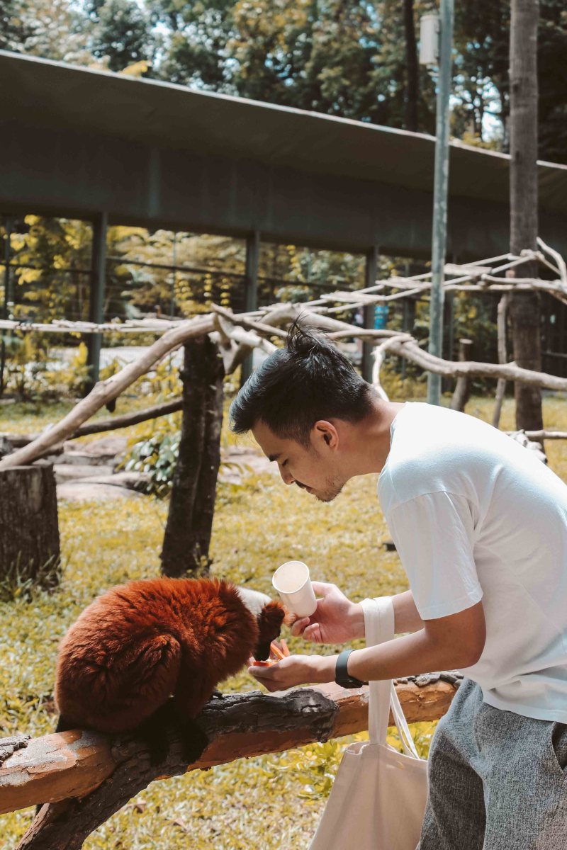 Safari Phú Quốc Lý Thành Cơ Travel Blog 8