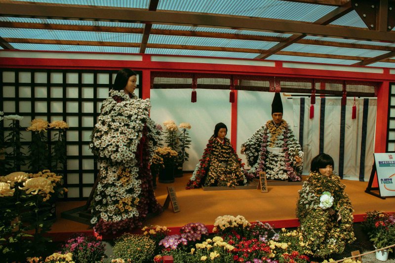 Nihommatsu Ly Thanh Co 16