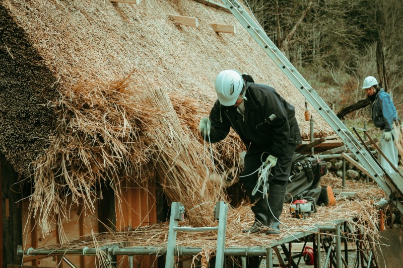Shirakawago Lythanhco 10